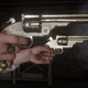 Screenshot: Red Dead Redemption 2/Rockstar Games